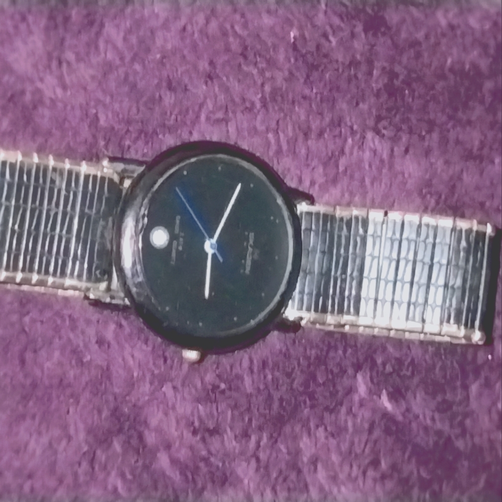 Men's Skagen watch